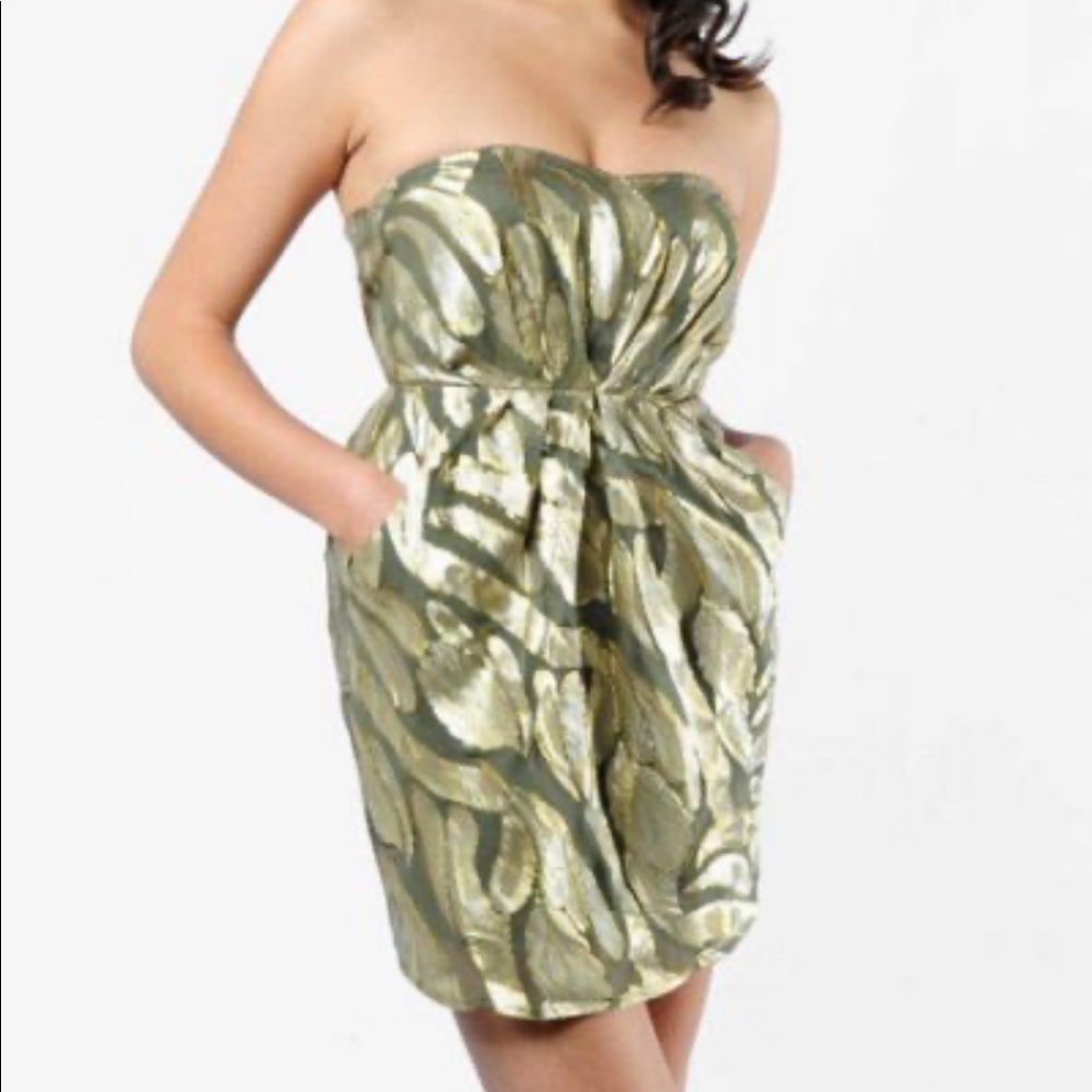 Twelfth street by Cynthia Vincent strapless dress